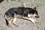 49_2008-0830-1203-59.jpg